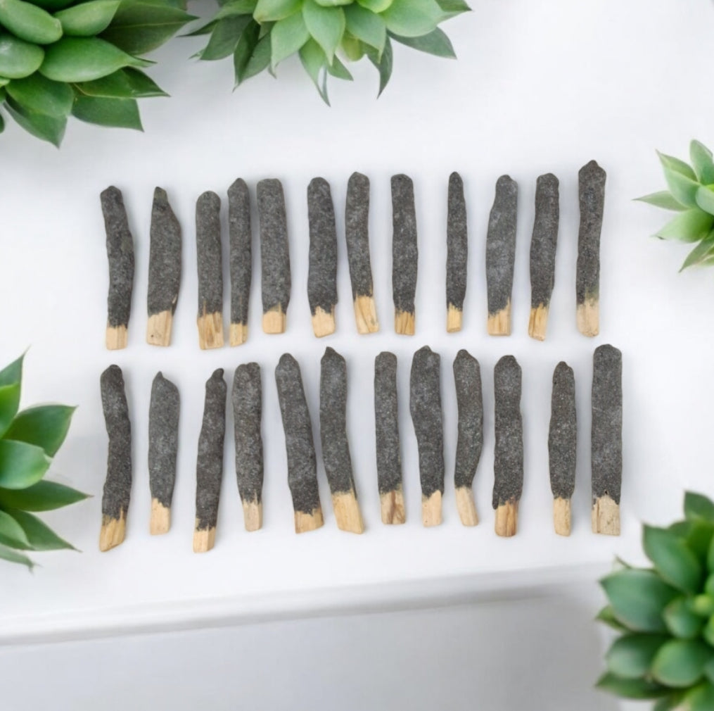 Dipped & Rolled Palo Santo Sticks